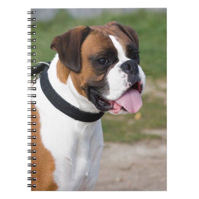 Caderno Espiral Sentado do Boxer (Frente)