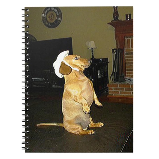 Caderno Espiral Sentando Bonito notebook Dachshund (Frente)