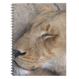Caderno Espiral Sentir a leoa