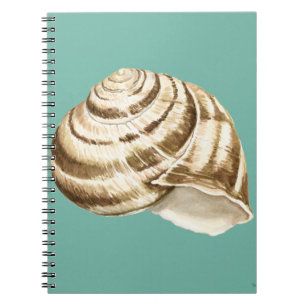 Caderno Espiral Sepia Striped Shell em Teal