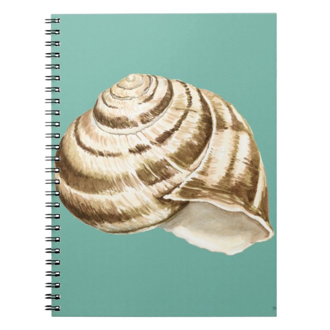 Caderno Espiral Sepia Striped Shell em Teal (Frente)