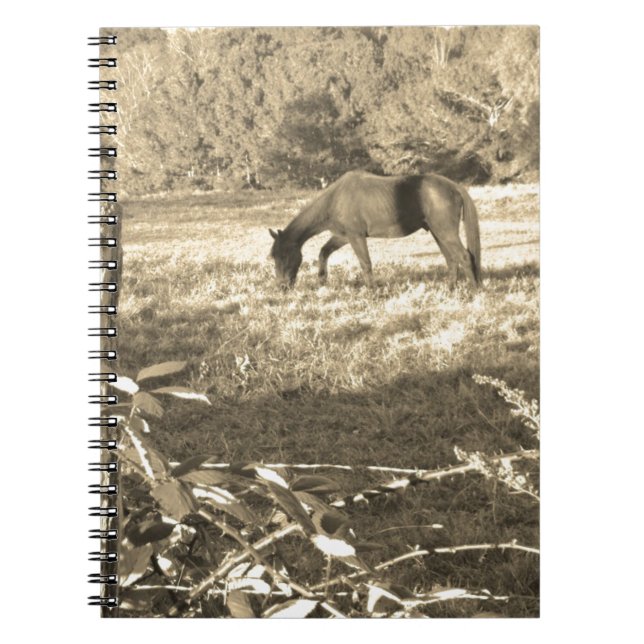 Caderno Espiral Sepia tone Cavalo castanho e cerca (Frente)