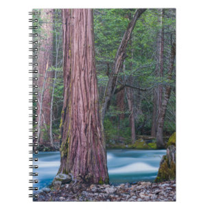 Caderno Espiral Sequoias & Rio Merced Parque Nacional de Yosemite,