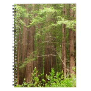 Caderno Espiral Sequoias Vermelhas no Monumento Nacional de Muir W
