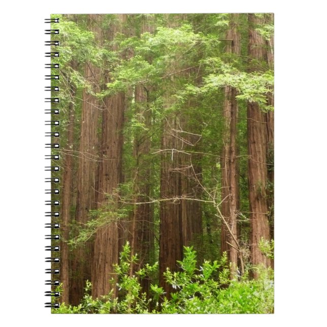 Caderno Espiral Sequoias Vermelhas no Monumento Nacional de Muir W (Frente)