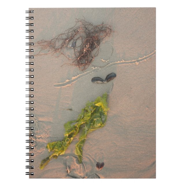 Caderno Espiral Sereia (Frente)