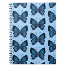 Setembro Sapphire Blue Butterfly Patterfly Design