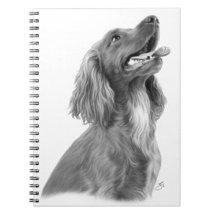 Caderno Espiral Setter irlandês