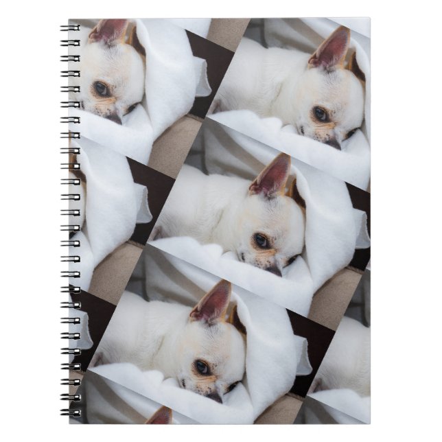 Caderno Espiral Seu cachorro de estimação, foto personalizada, pad (Frente)