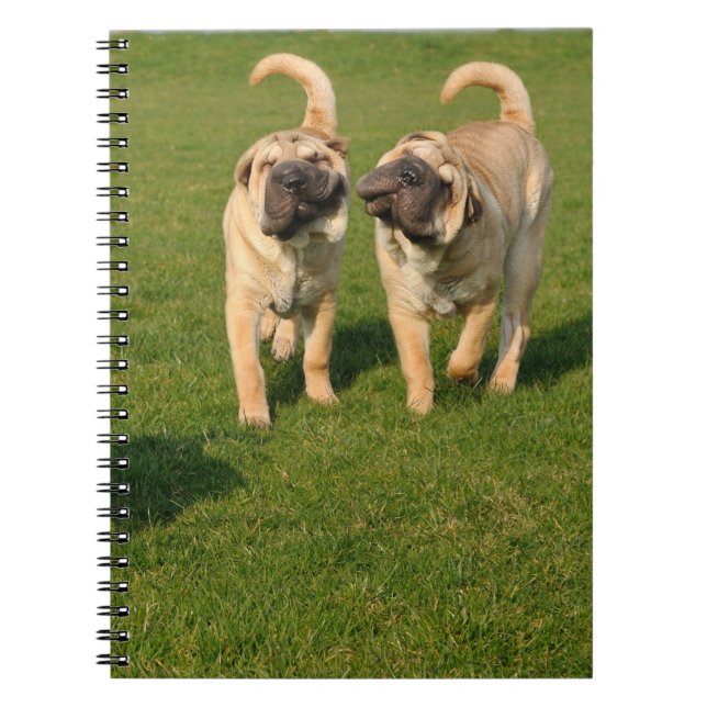 Caderno Espiral Shar Pei Jogada (Frente)