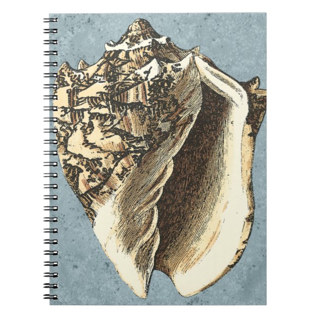 Caderno Espiral Shell Conch Stonewash (Frente)