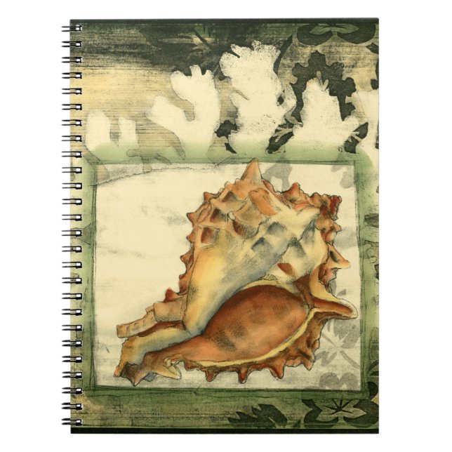 Caderno Espiral Shell de Conch Silhout (Frente)