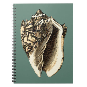 Caderno Espiral Shell de Conch Teal
