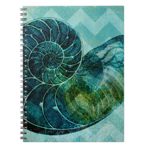 Caderno Espiral Shell do Conch de Turquesa Espiral