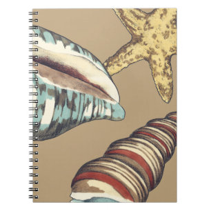 Caderno Espiral Shell Trio em Khaki