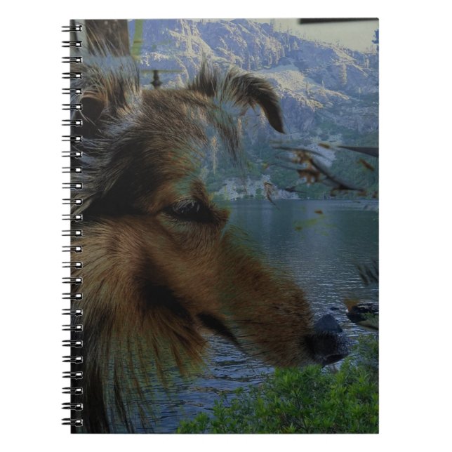 Caderno Espiral Sheltie Diário (Frente)