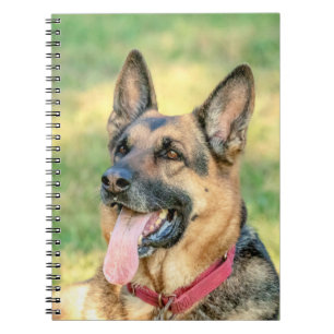 Caderno Espiral Shepard Alemão