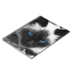 Caderno Espiral Siamese Cat
