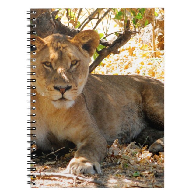 Caderno Espiral Siesta Time (Frente)