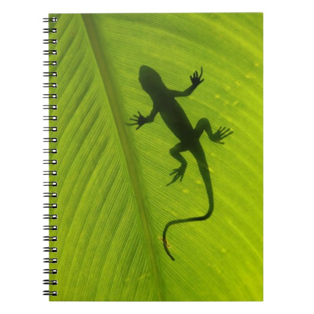 Caderno Espiral Silhueta do geco (Frente)