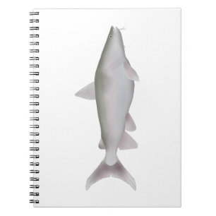 Caderno Espiral Silver Cobbler