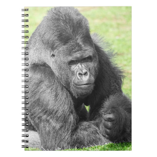 Caderno Espiral Silverback Toma o Palco (Frente)