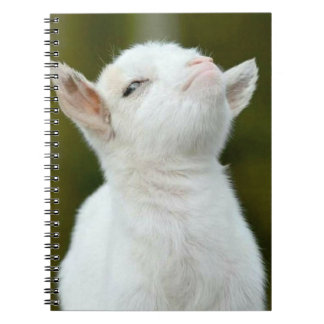Caderno Espiral Sim