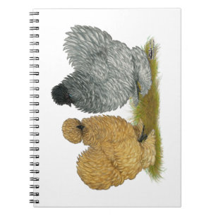 Caderno Espiral Sizzle Chickens