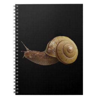 Caderno Espiral snail real photograph