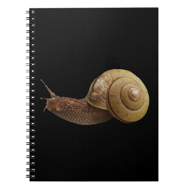 Caderno Espiral snail real photograph (Frente)