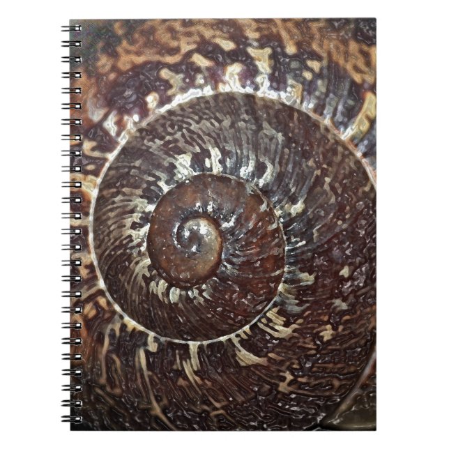 Caderno Espiral Snail Shell (Frente)