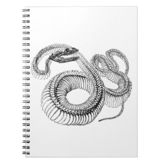 Caderno Espiral Snake Skeleton Notebook