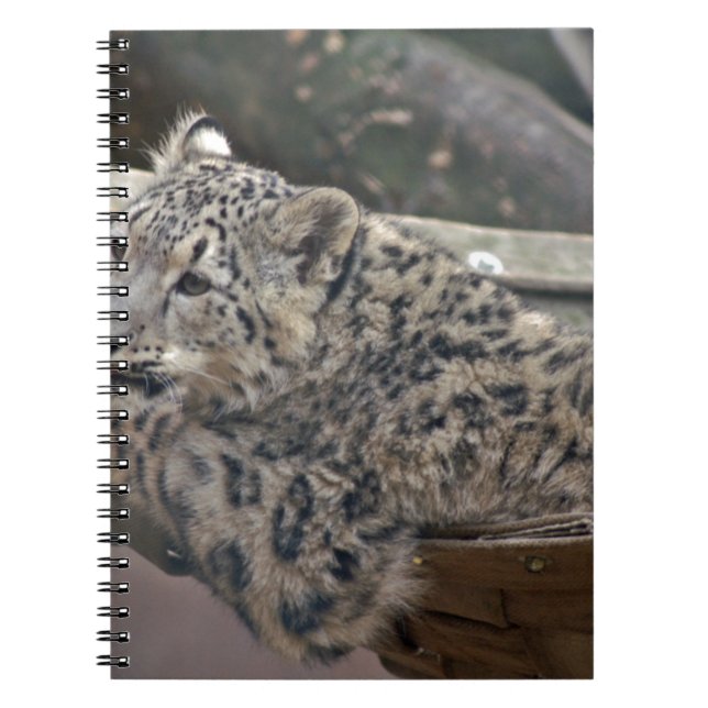 Caderno Espiral Snow Lepard (Frente)