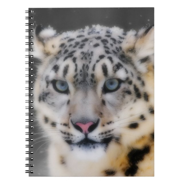 Caderno Espiral Snow Lepard (Frente)