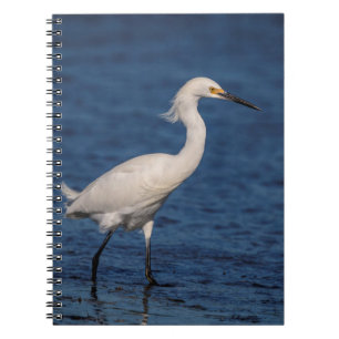Caderno Espiral Snowy Egret em North Beach