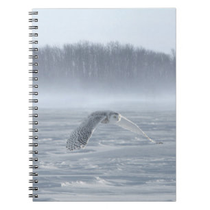 Caderno Espiral Snowy Owl Voando No Inverno