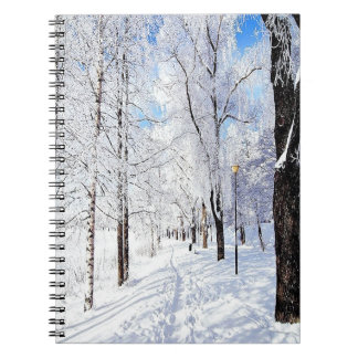 Caderno Espiral Snowy Road