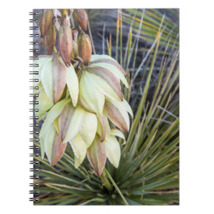 Caderno Espiral Soaptree Yucca Flores No Alto Missouri