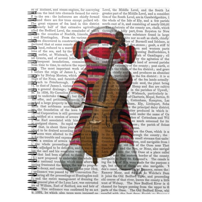 Caderno Espiral Sock Monkey e Cello (Frente)
