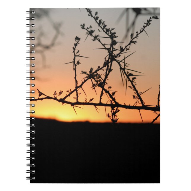 Caderno Espiral Sol africano com silhueta espinhal de acácia (Frente)