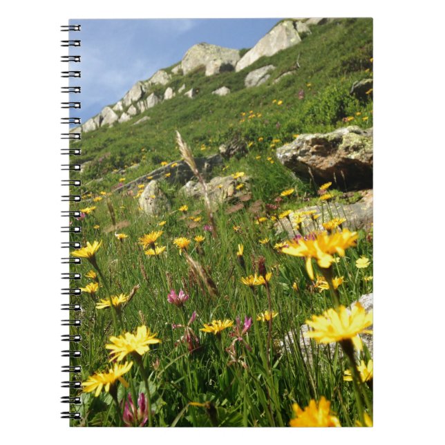 Caderno Espiral Solte a sua imaginação! Flores alpinas (Frente)