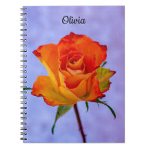 Solteiro Laranja e Rosa Amarelo Notebook Espiral