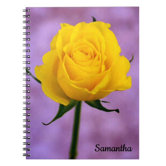 Caderno Espiral Solteiro notebook espiral Rosa Amarelo (Frente)