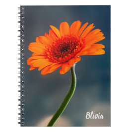 Caderno Espiral Solteiro Orange Gerbera Spiral notebook