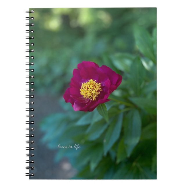 Caderno Espiral Solteiro Peony (Frente)