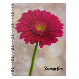 Caderno Espiral Solteiro Rosa Quente Gerbera Notebook Espiral