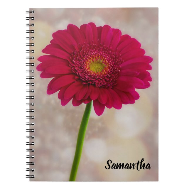 Caderno Espiral Solteiro Rosa Quente Gerbera Notebook Espiral (Frente)