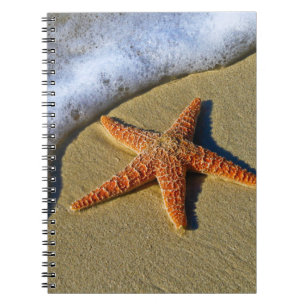 Caderno Espiral Solteiro Starfish na praia