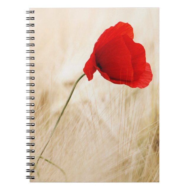 Caderno Espiral Solteiro Vermelho Papoila num Campo Cinza (Frente)
