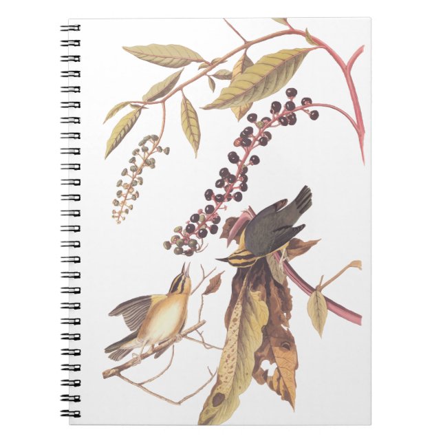 Caderno Espiral Songbird Audubon Warbler Comedor de Vermes (Frente)